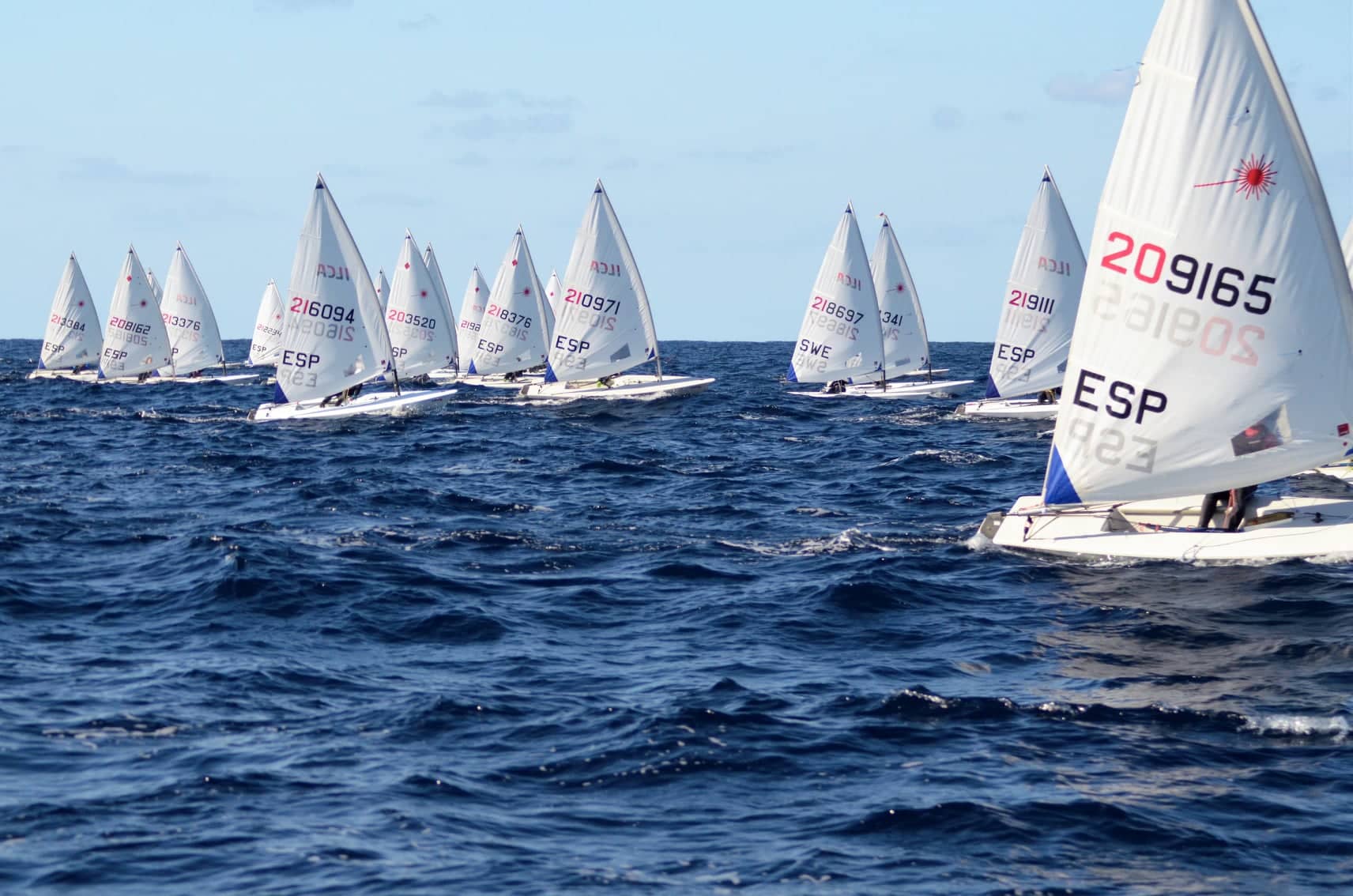 ILCA, Trofeo Pro-Rigging, Bahía de Palma, vela ligera, deporte náutico